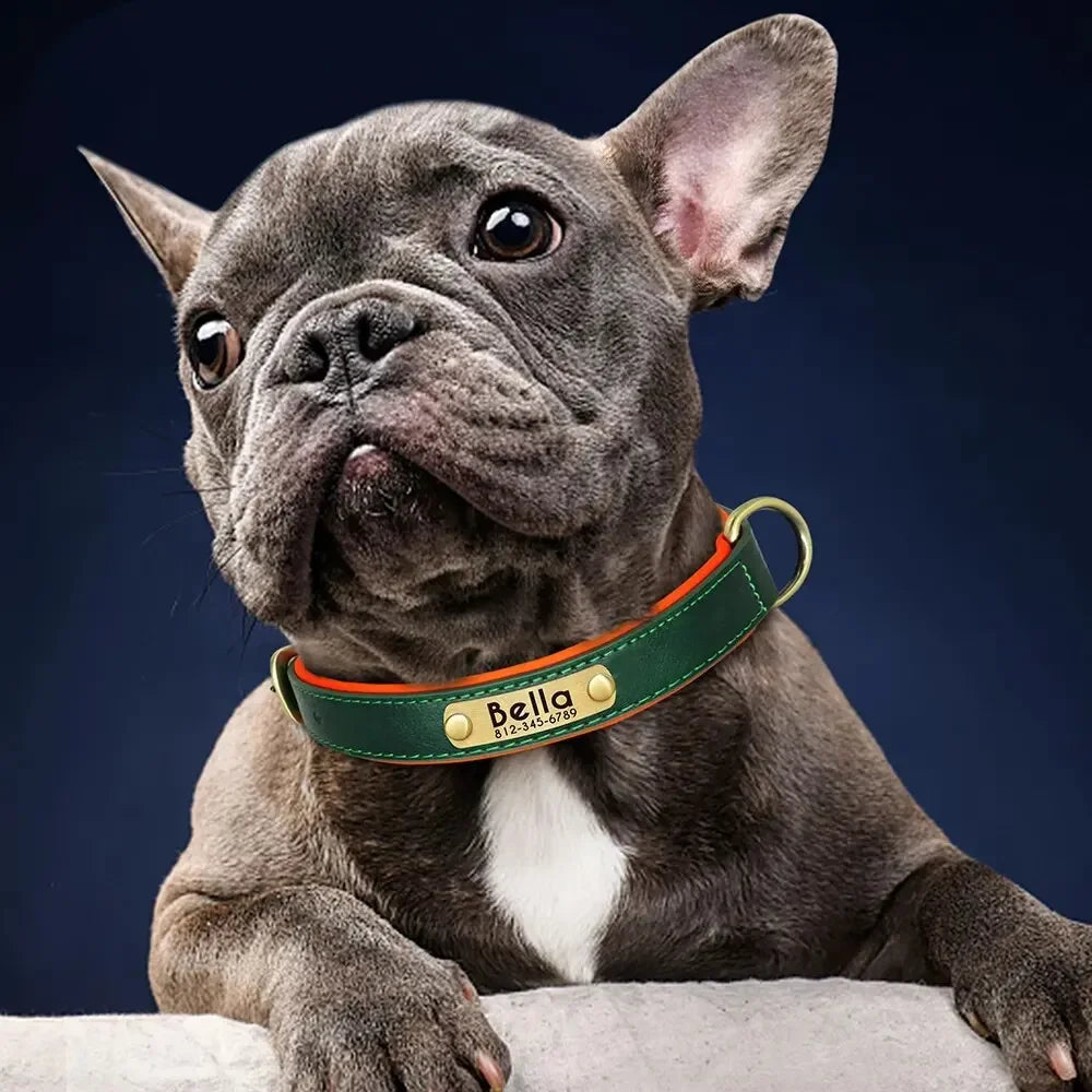 Personalized Customized Leather ID Nameplate Dog Collar Soft Padded Dogs Collars Free Engraving Name for Small Medium Large Dogs