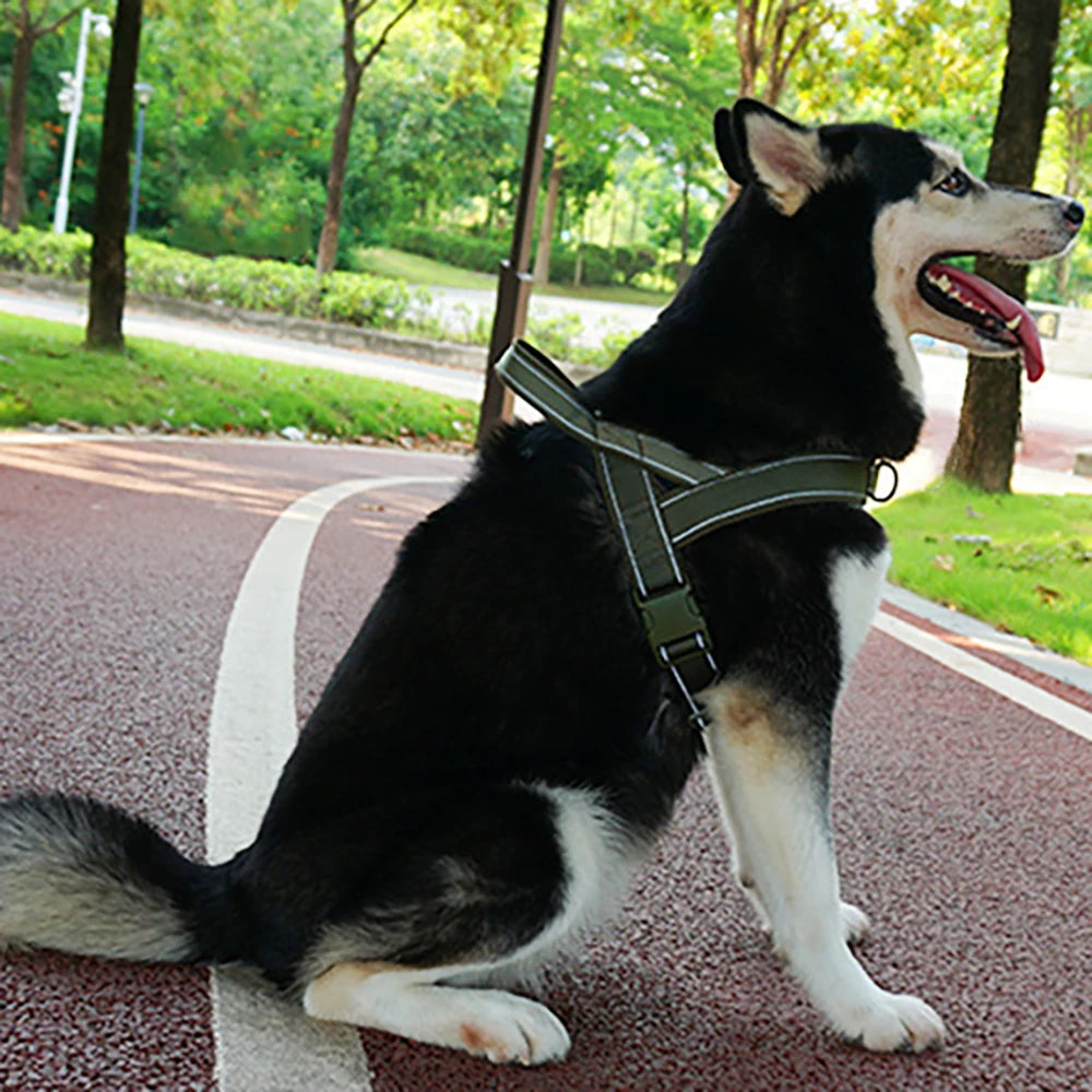 TitanForce™ Tactical Dog Harness