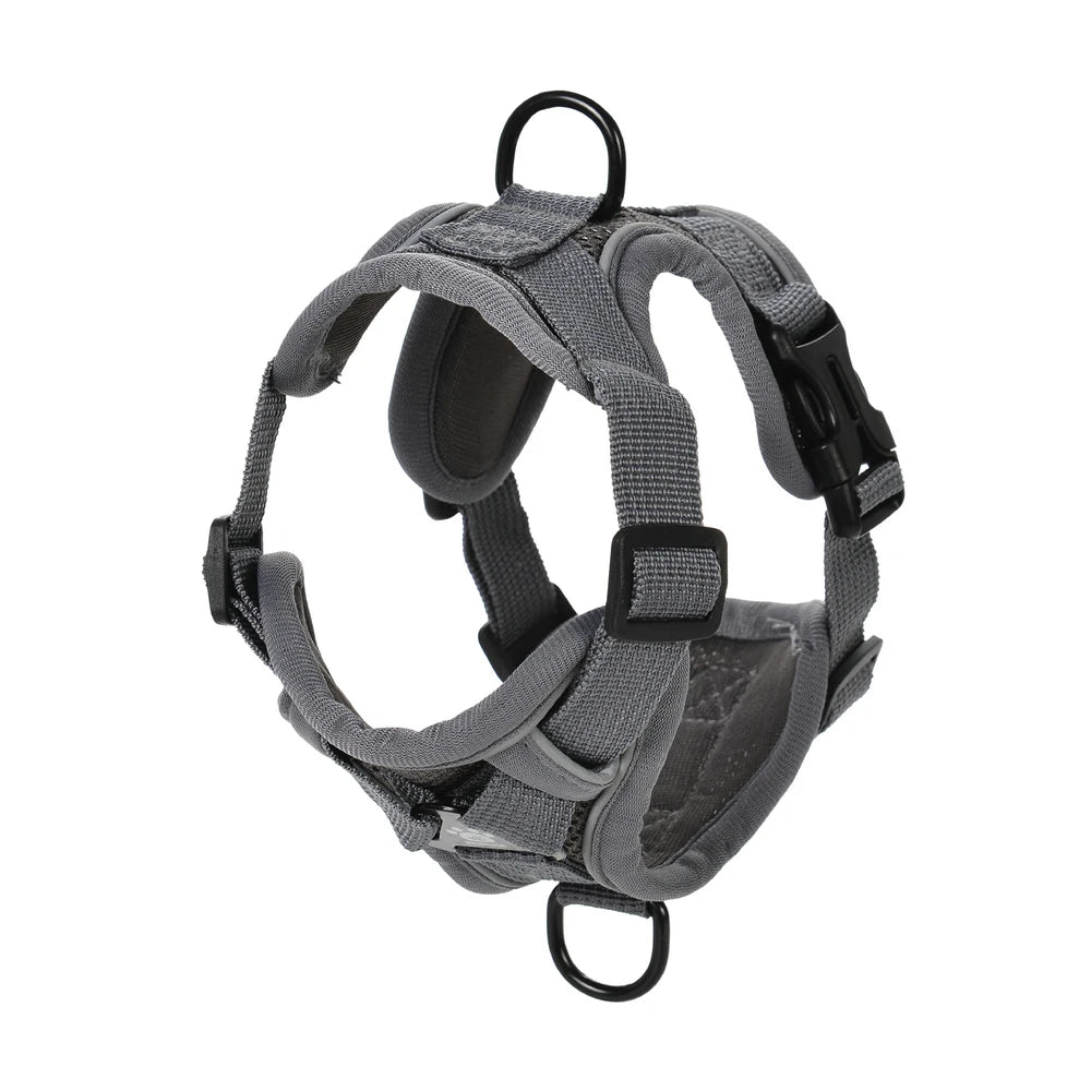 Escape-Proof Cat Harness & Leash Set