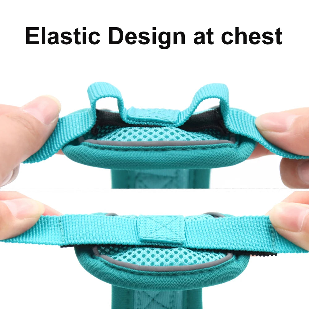 Escape-Proof Cat Harness & Leash Set