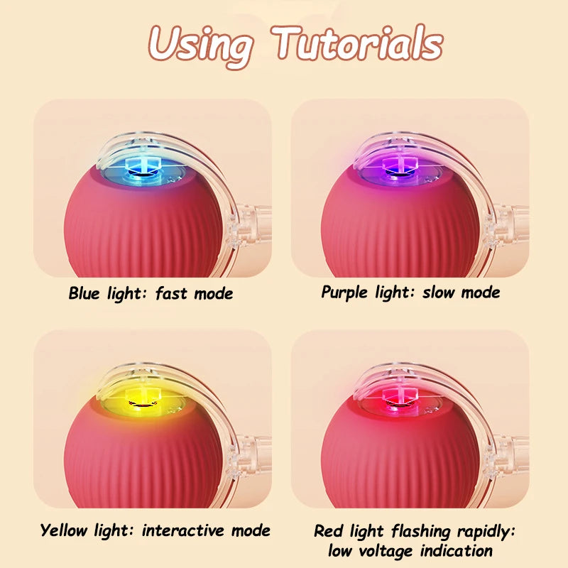 ChaseTail™ Smart Rolling Ball