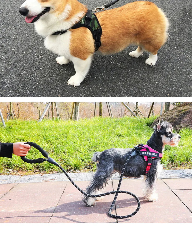 TrailGuard™ Reflective Dog Leash