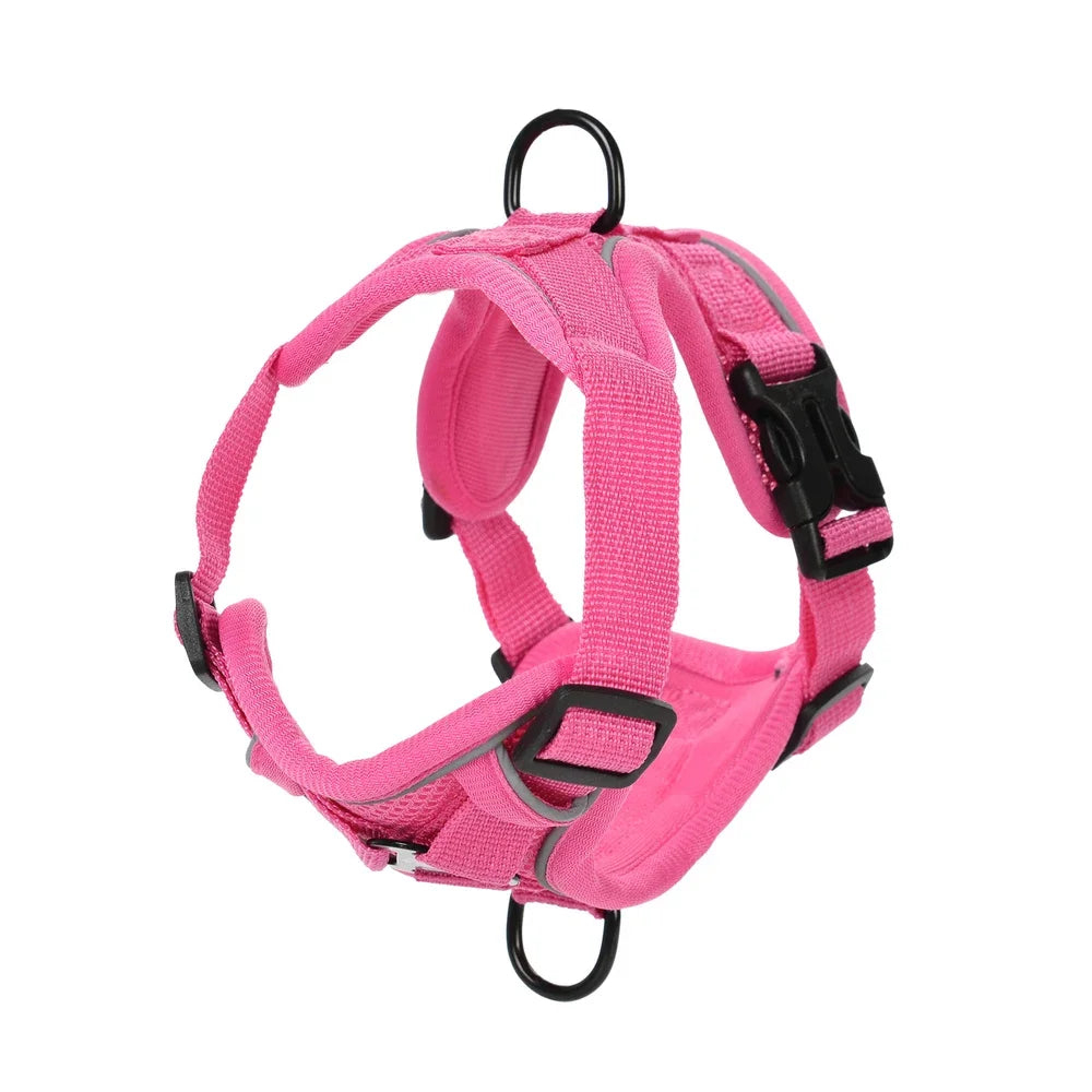 Escape-Proof Cat Harness & Leash Set