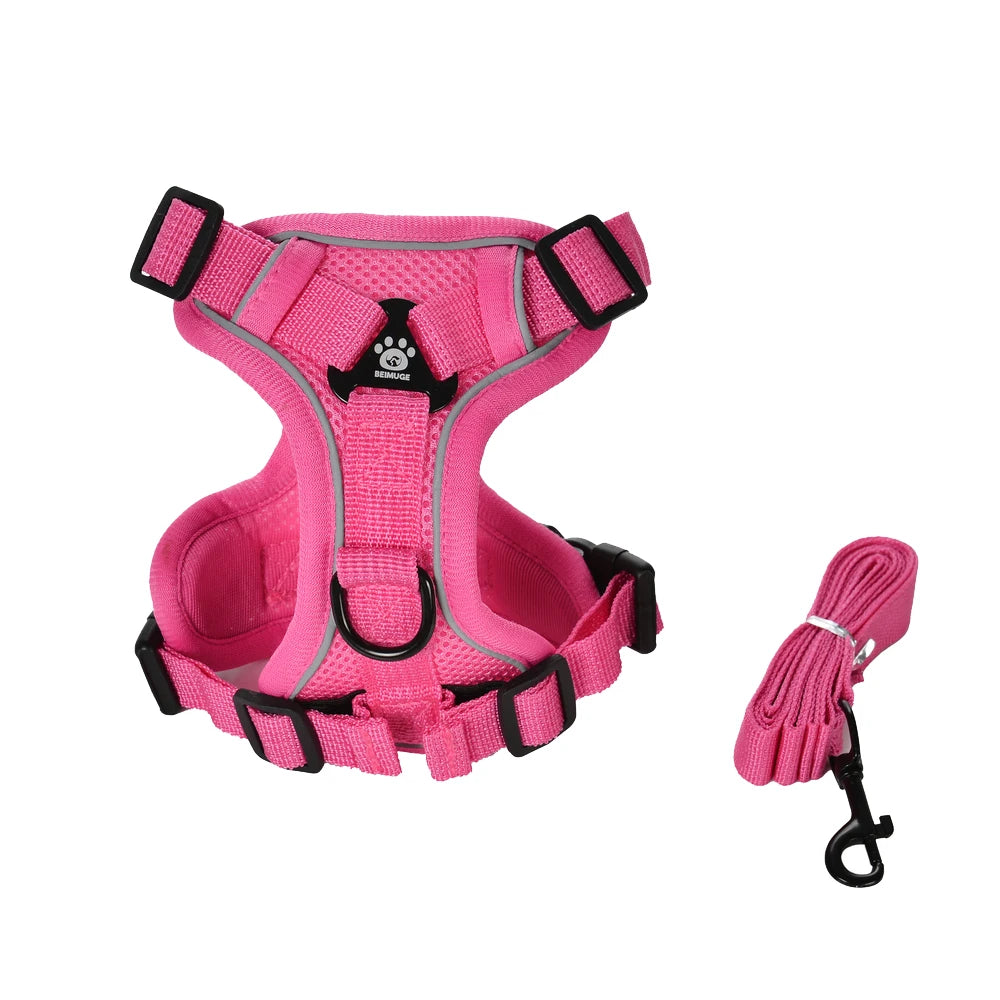 Escape-Proof Cat Harness & Leash Set