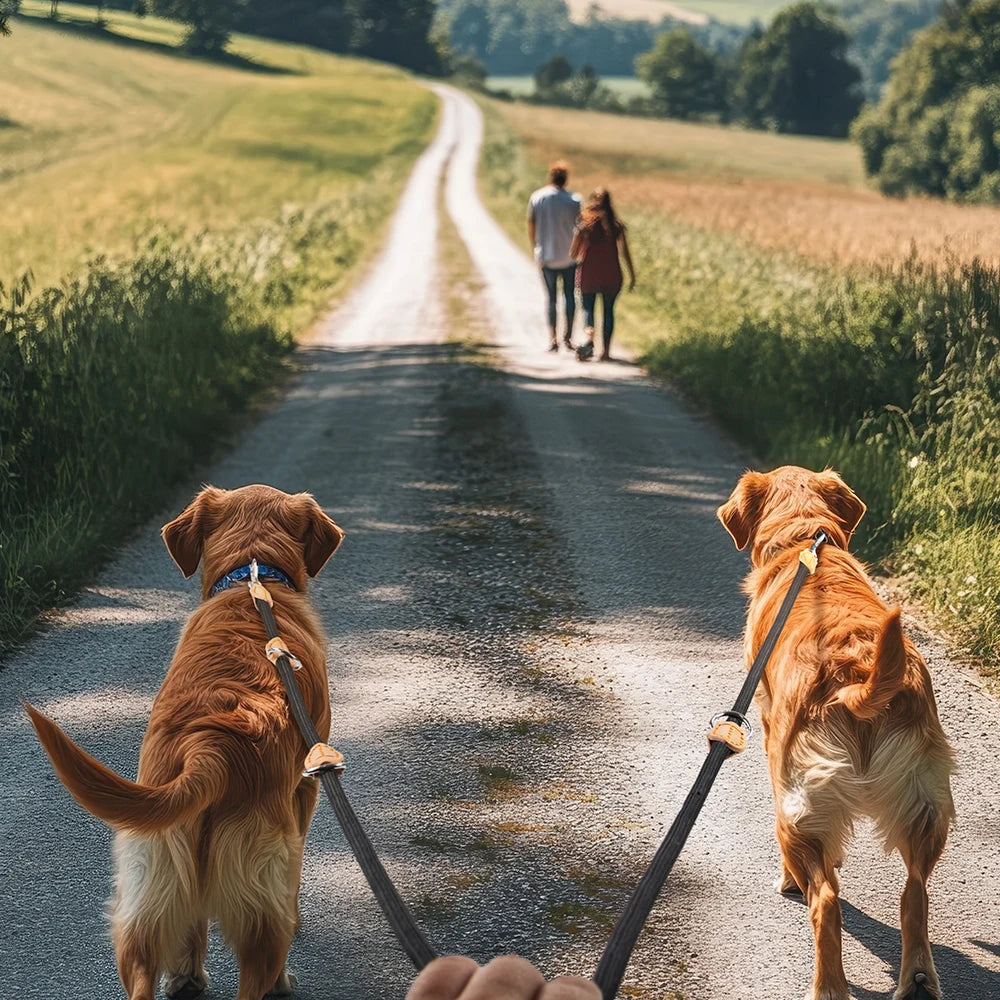 New Generation Dog Leash Multifunctional 2.1M Adjustable and Nylon for Large Hands-Free Leash for 2 Dogs Universal