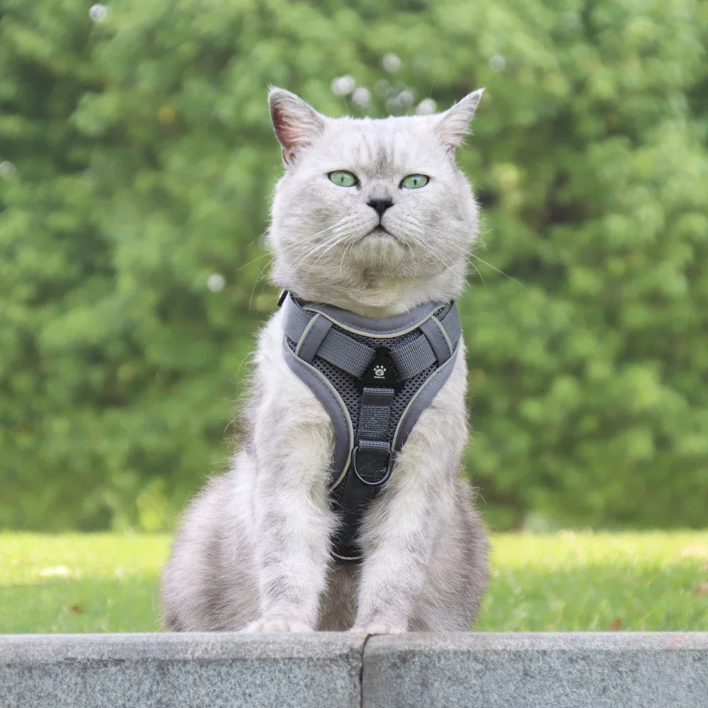 Escape-Proof Cat Harness & Leash Set