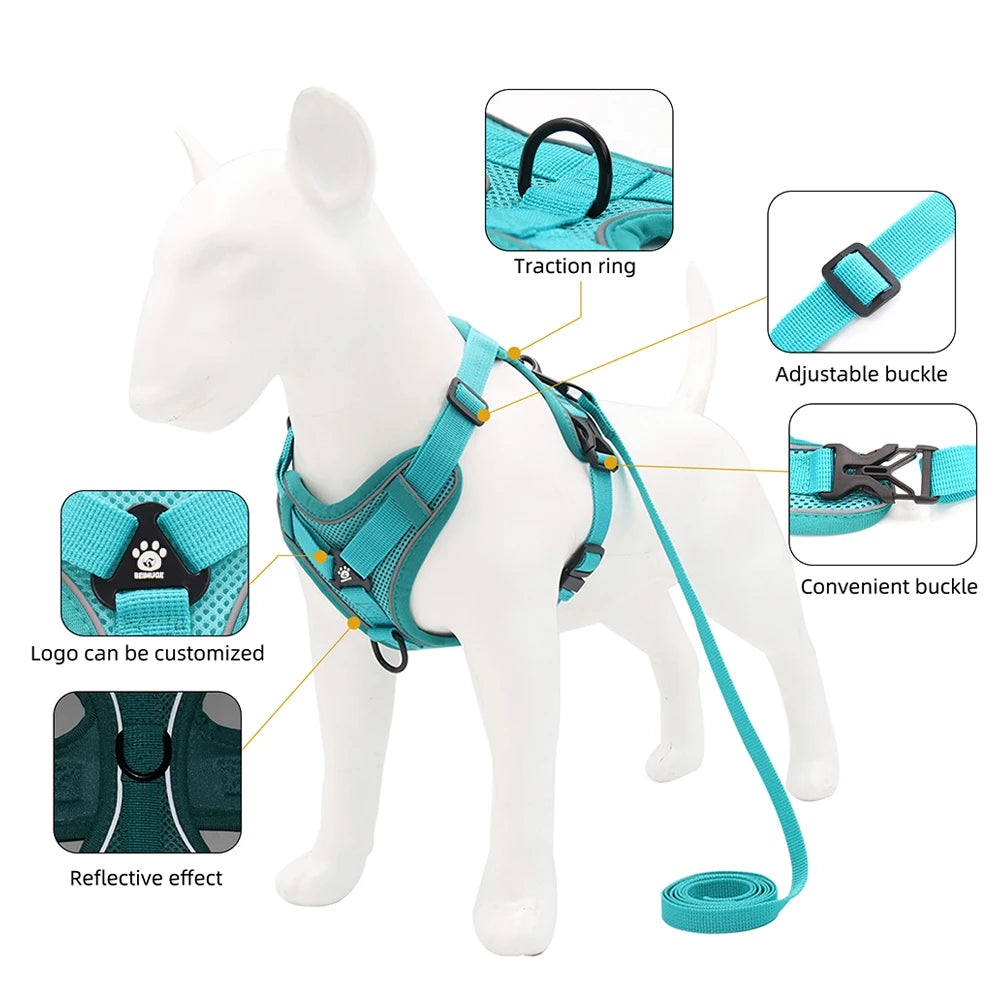 Escape-Proof Cat Harness & Leash Set