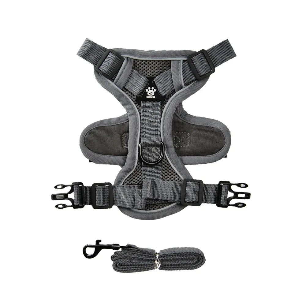 Escape-Proof Cat Harness & Leash Set