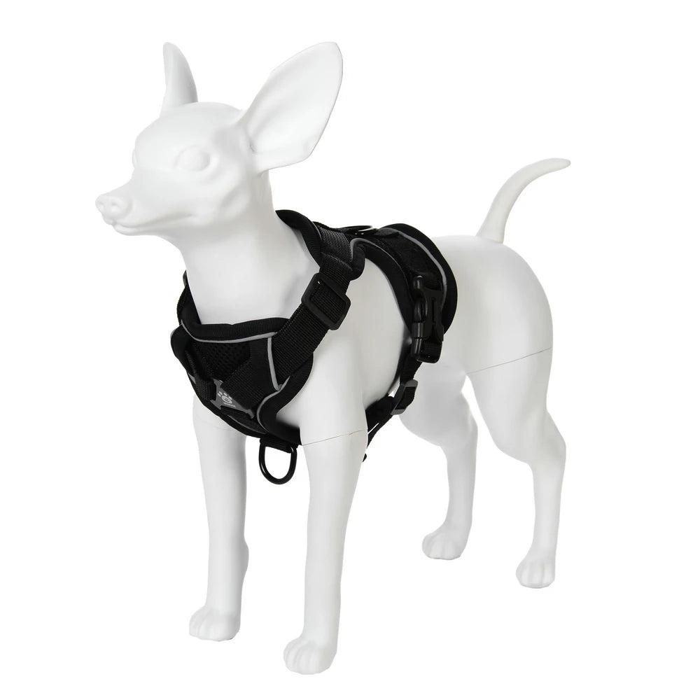 Escape-Proof Cat Harness & Leash Set