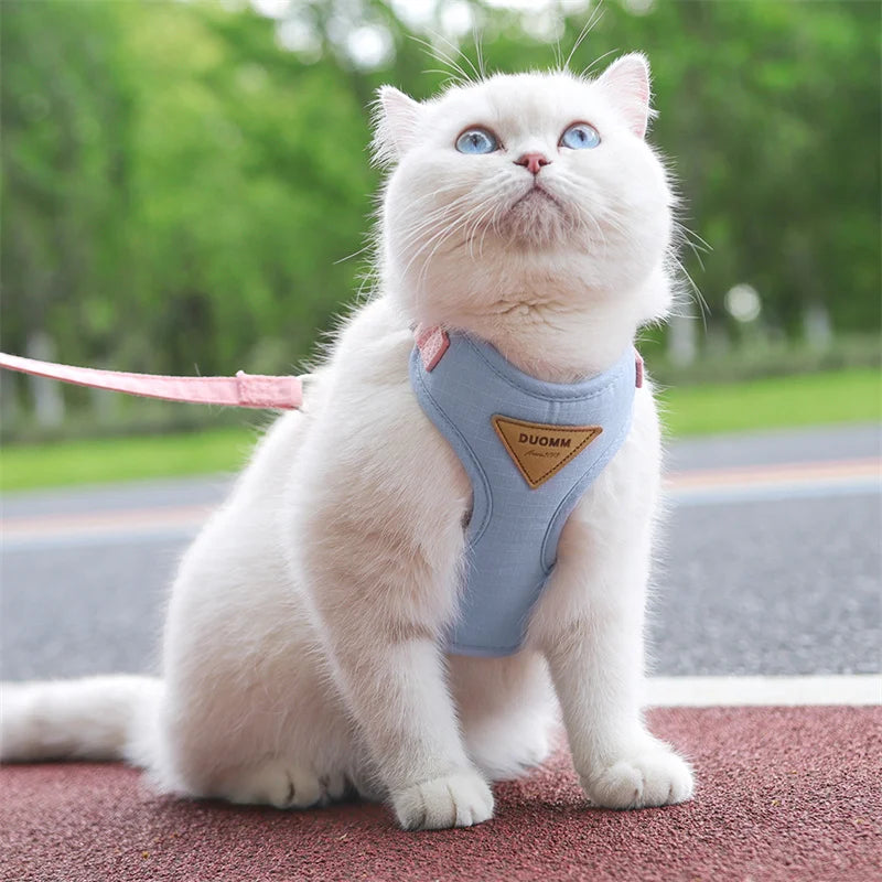 CloudFit™ Pet Harness Set