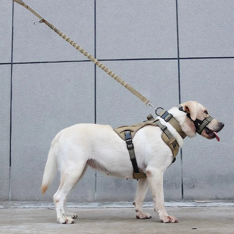 TitanGuard™ Tactical Dog Harness Set