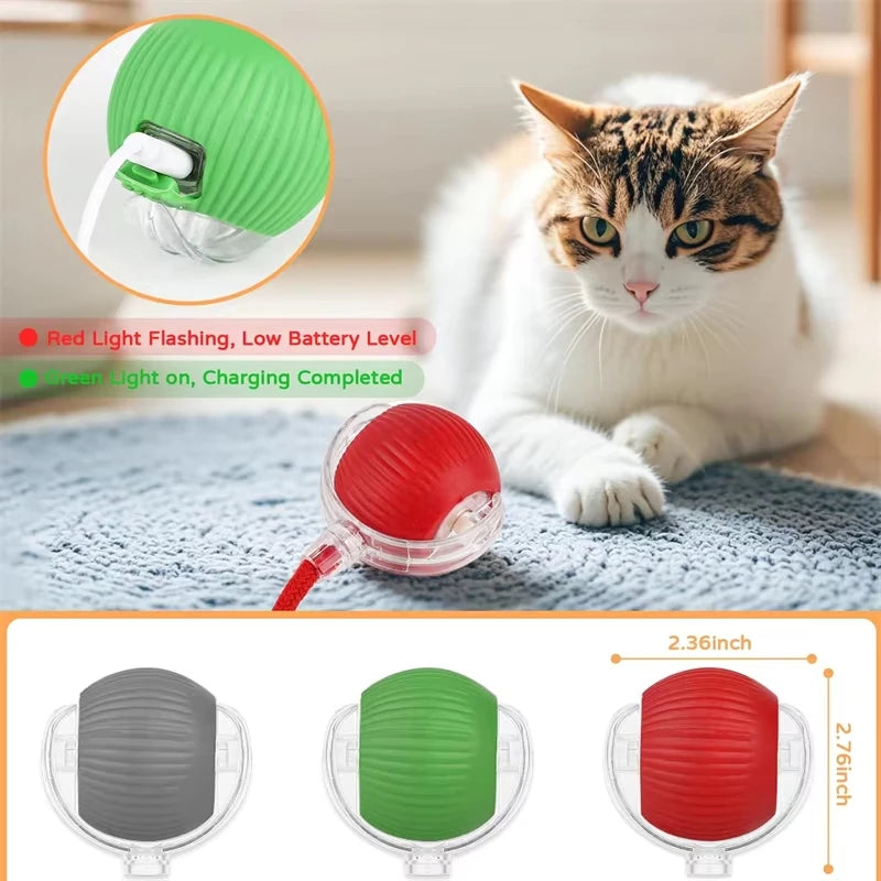 ChaseTail™ Smart Rolling Ball