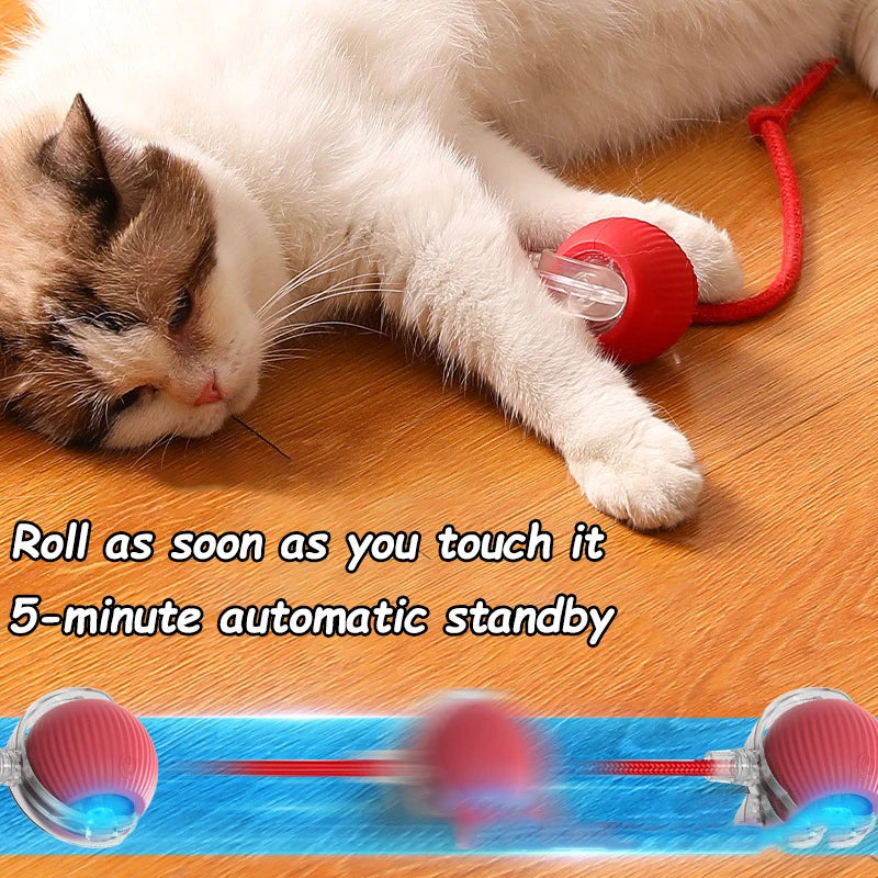 ChaseTail™ Smart Rolling Ball