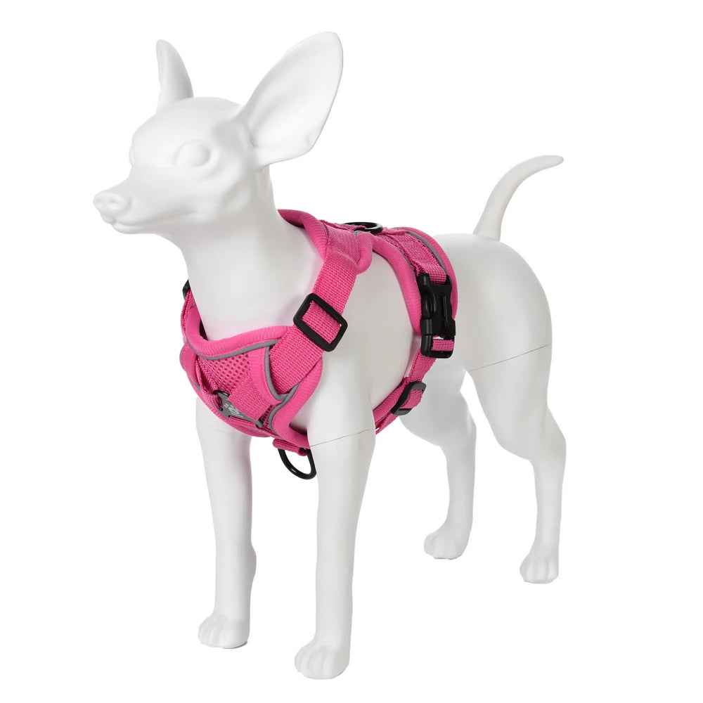 Escape-Proof Cat Harness & Leash Set