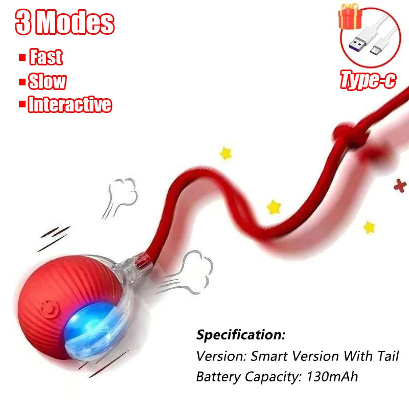 ChaseTail™ Smart Rolling Ball