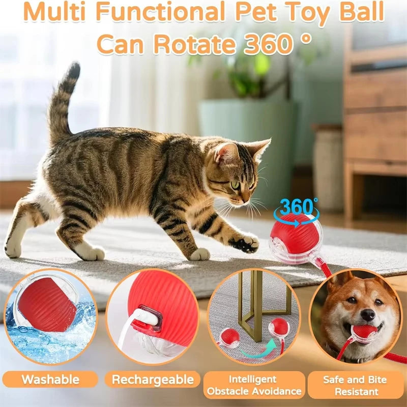 ChaseTail™ Smart Rolling Ball