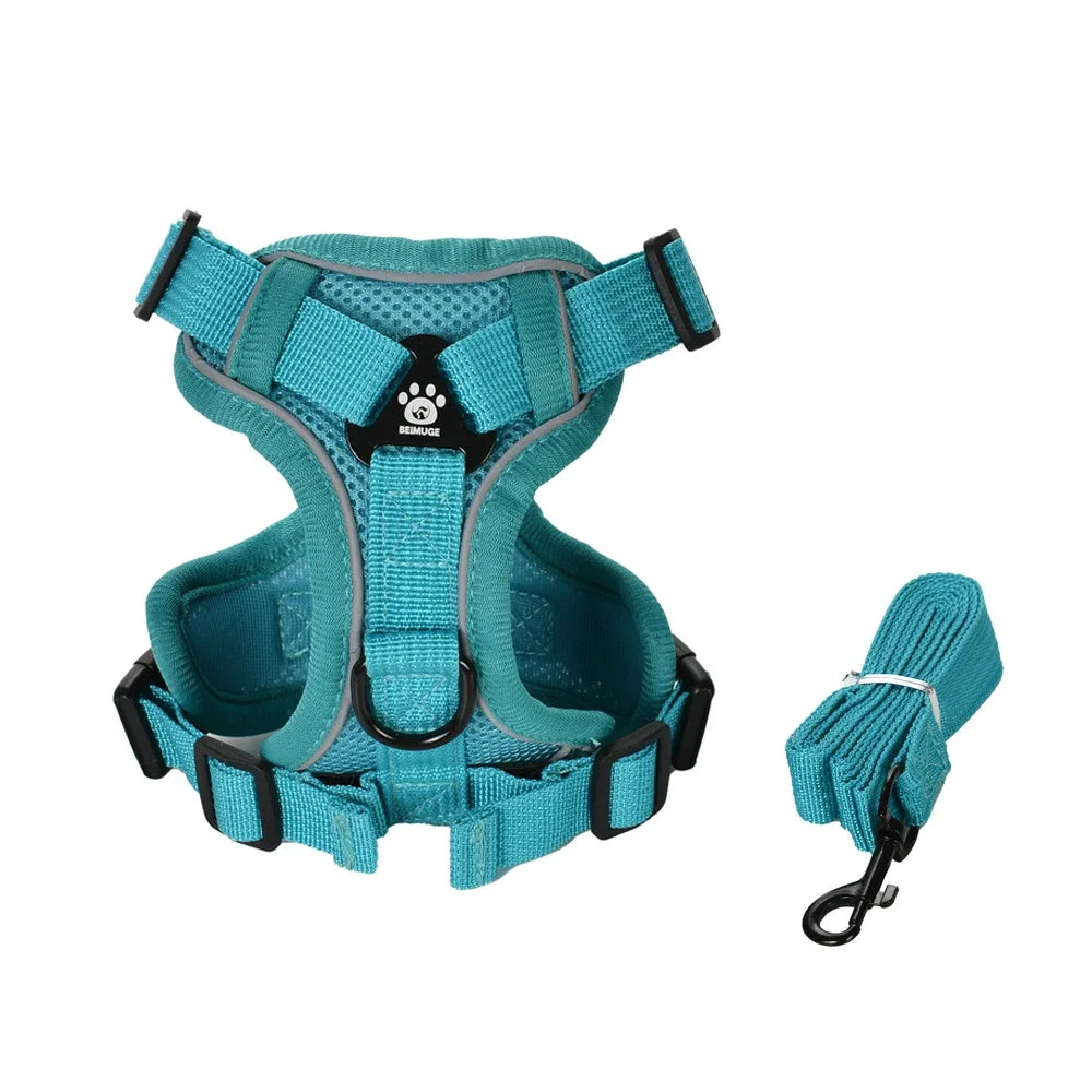 Escape-Proof Cat Harness & Leash Set