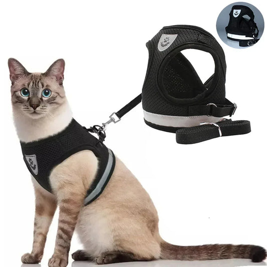 AirFit™ Reflective Mesh Harness Set
