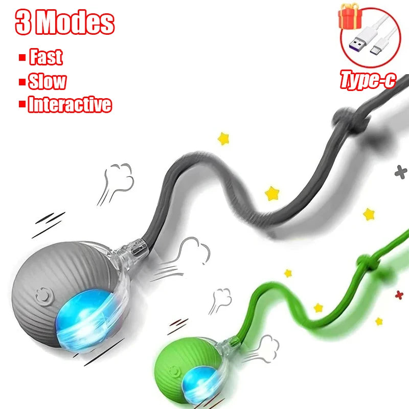 ChaseTail™ Smart Rolling Ball