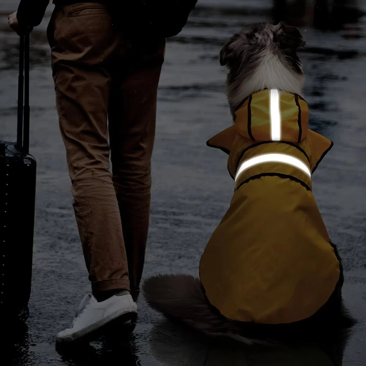 Keep Your Pet Dry And Comfortable - Adjustable Waterproof Windproof Dog Raincoat  Double-Layer Yellow Raincoat With Two-Way Wear