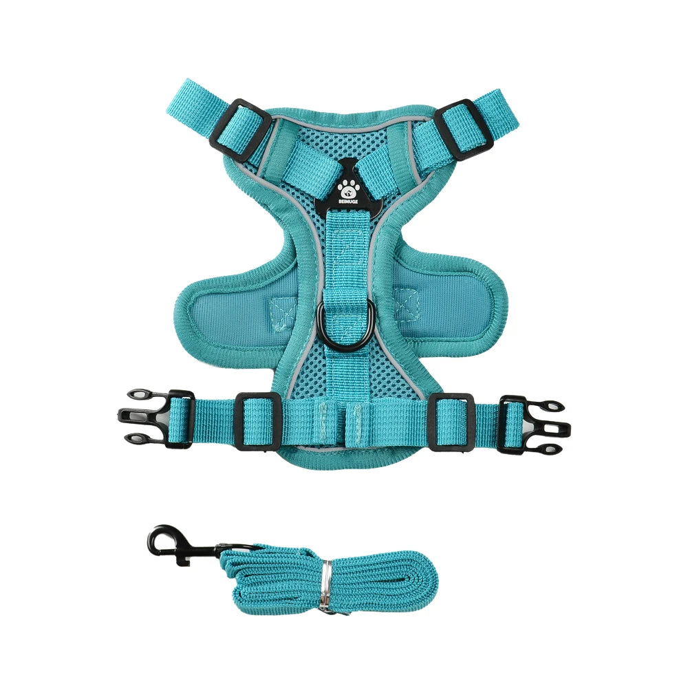 Escape-Proof Cat Harness & Leash Set