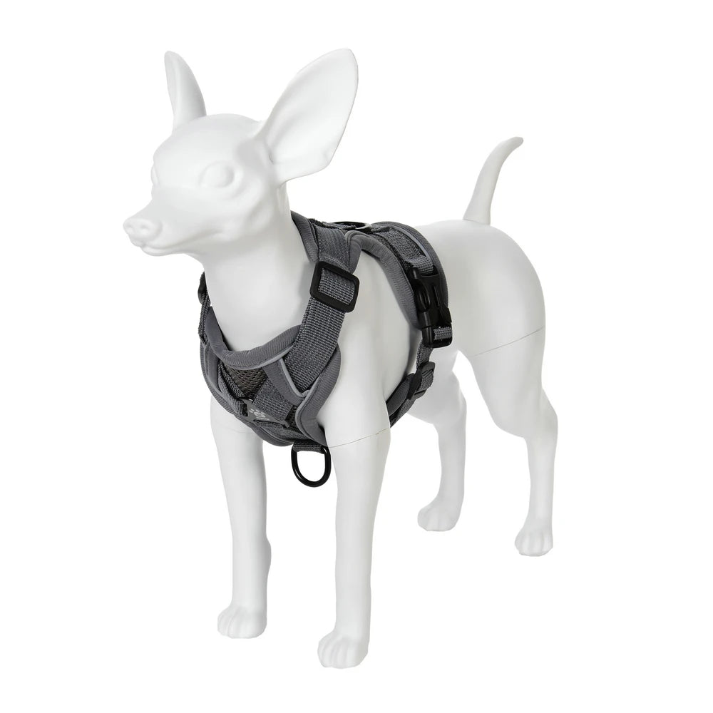 Escape-Proof Cat Harness & Leash Set