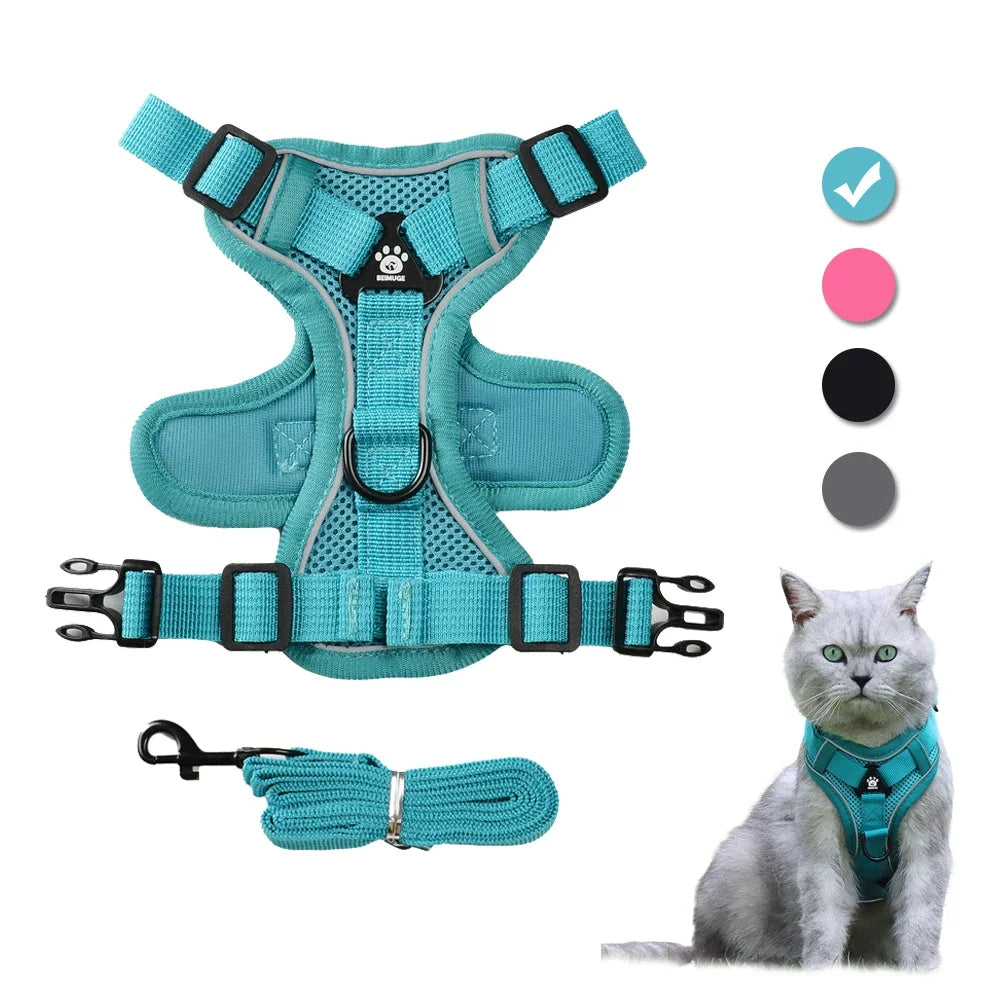Escape-Proof Cat Harness & Leash Set