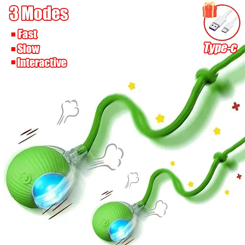 ChaseTail™ Smart Rolling Ball