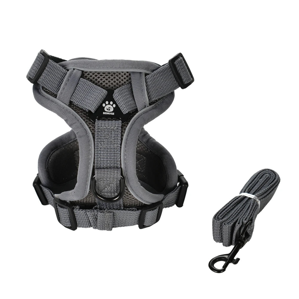 Escape-Proof Cat Harness & Leash Set