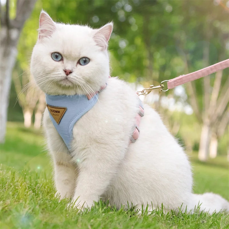 CloudFit™ Pet Harness Set