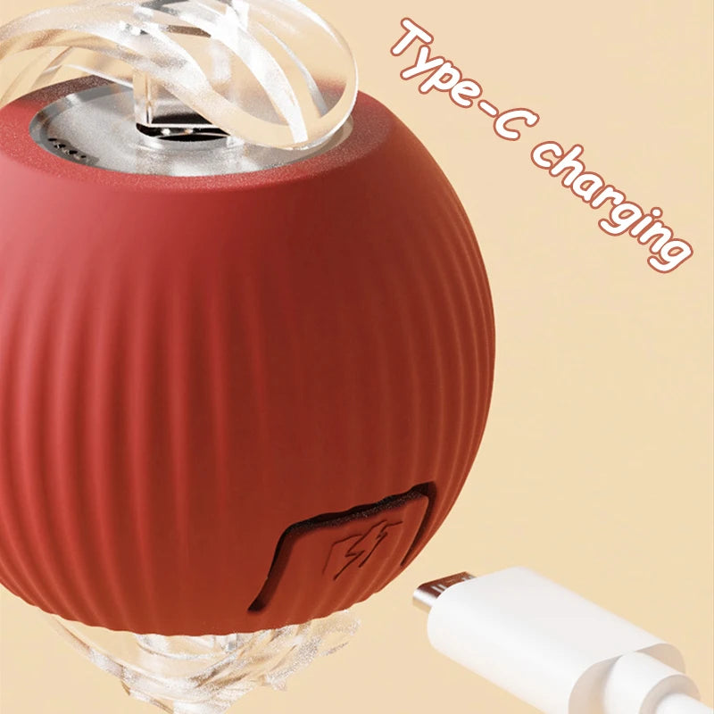 ChaseTail™ Smart Rolling Ball