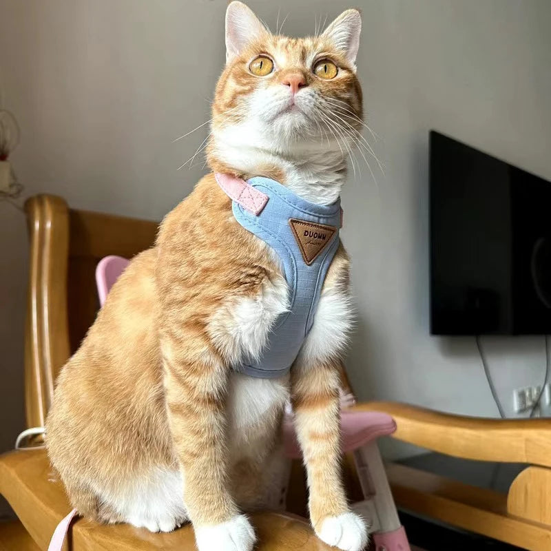 CloudFit™ Pet Harness Set