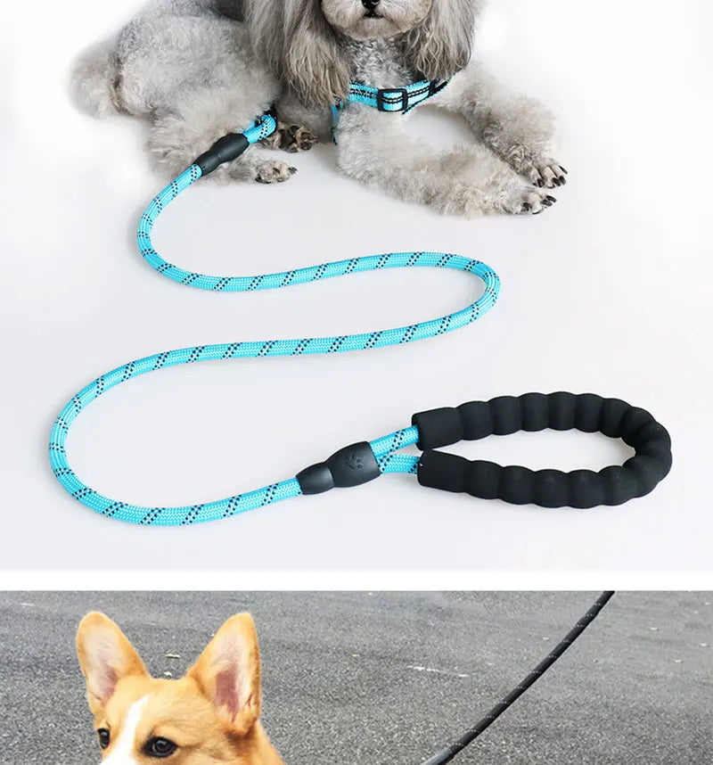 TrailGuard™ Reflective Dog Leash