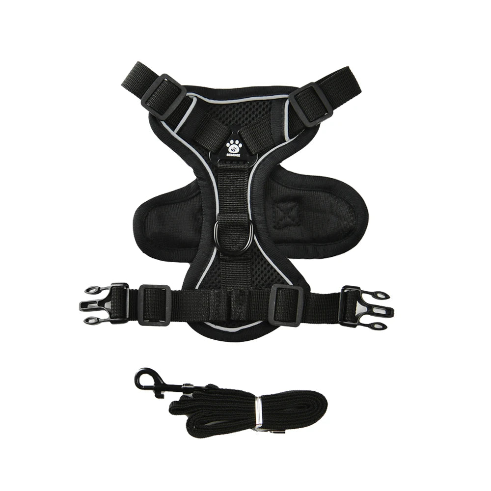 Escape-Proof Cat Harness & Leash Set