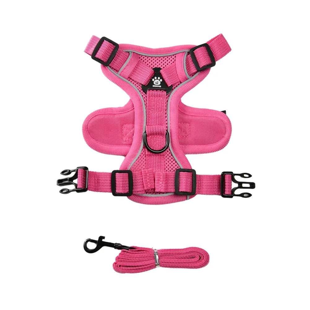 Escape-Proof Cat Harness & Leash Set
