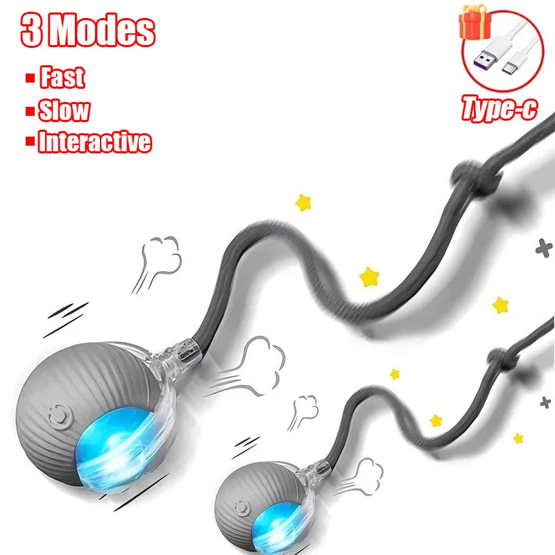 ChaseTail™ Smart Rolling Ball