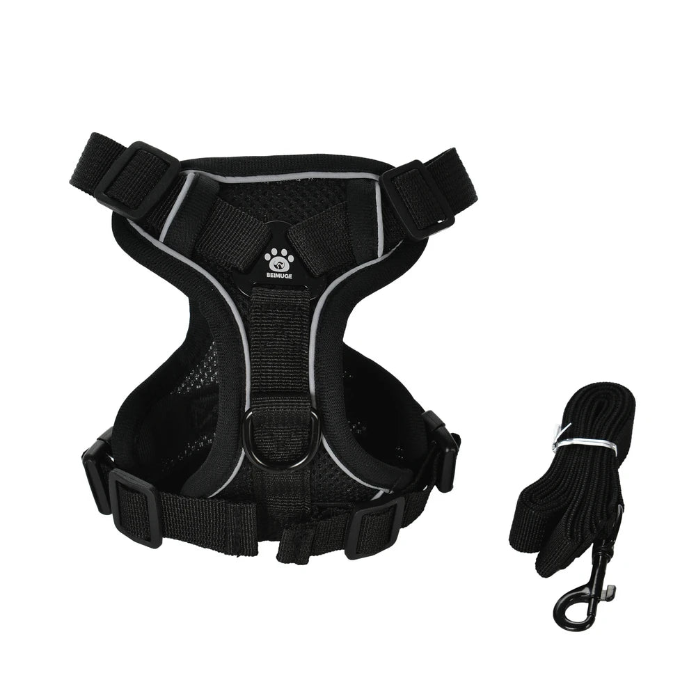 Escape-Proof Cat Harness & Leash Set