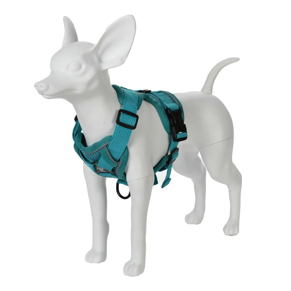 Escape-Proof Cat Harness & Leash Set