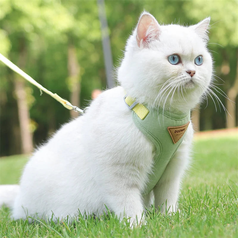 CloudFit™ Pet Harness Set