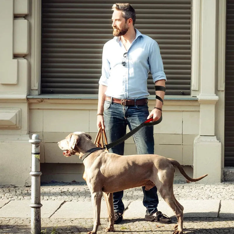 ControlFlex™ Dual Handle Dog Leash