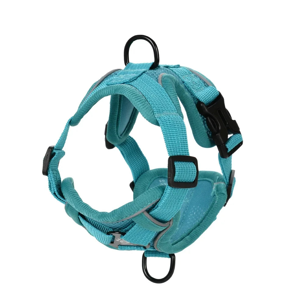Escape-Proof Cat Harness & Leash Set