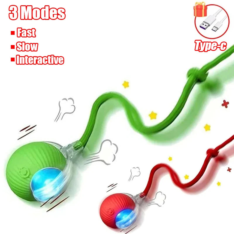 ChaseTail™ Smart Rolling Ball