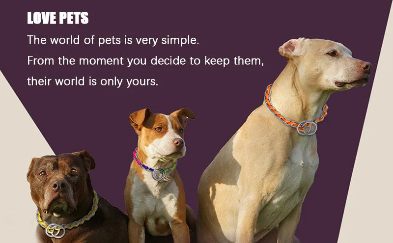 ControlFlex™ Dual Handle Dog Leash