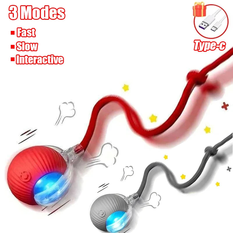 ChaseTail™ Smart Rolling Ball