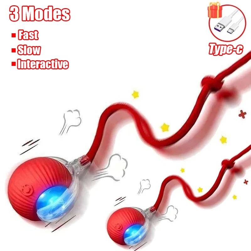 ChaseTail™ Smart Rolling Ball